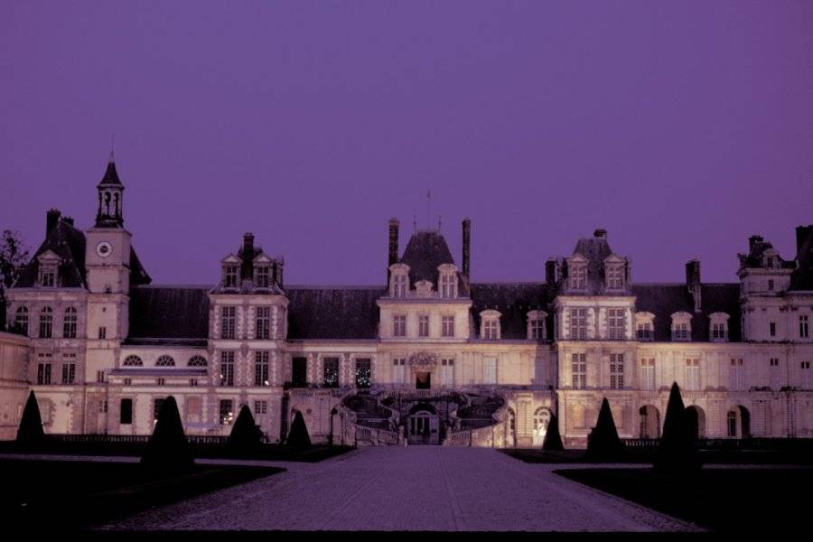 Alamer - Iconotec... - ©THE CASTLE OF FONTAINEBLEAU