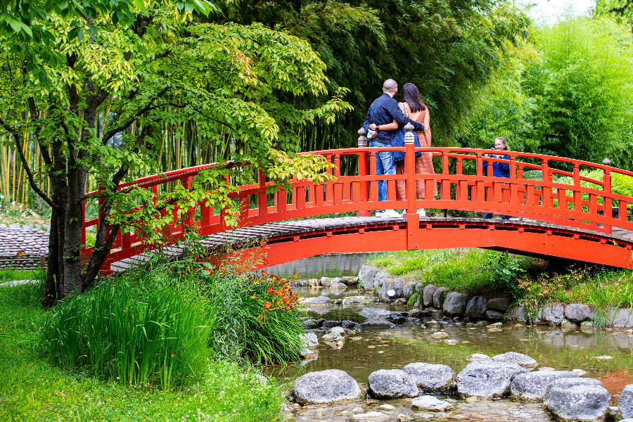 le jardin japonais