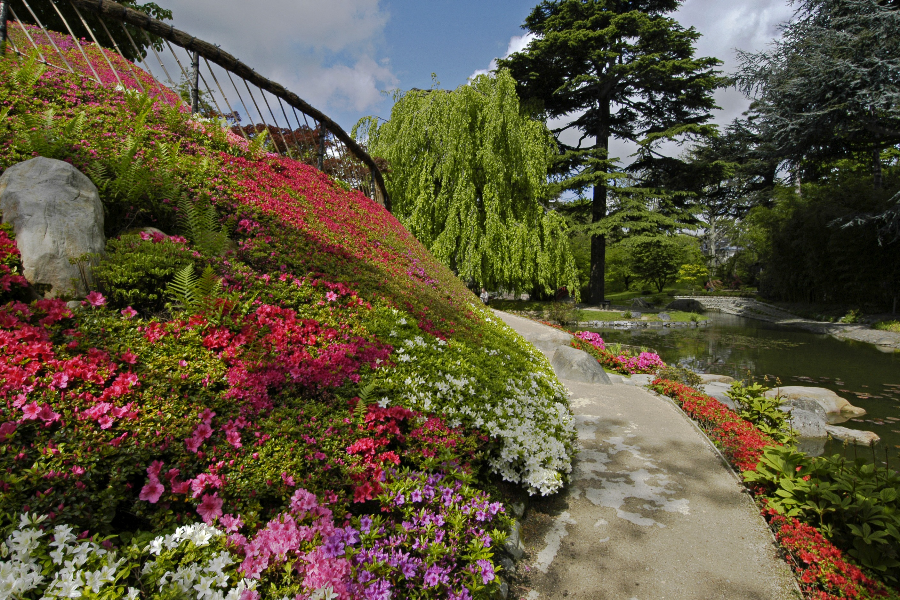 le jardin