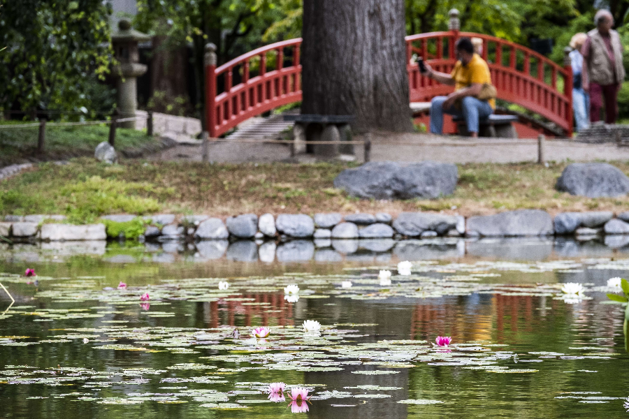 Le jardin japonais
