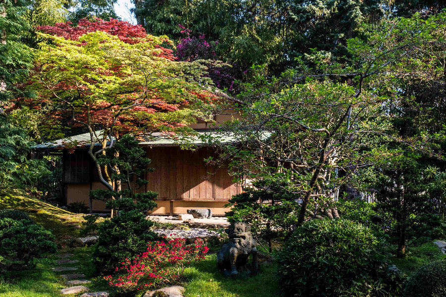 le jardin japonais