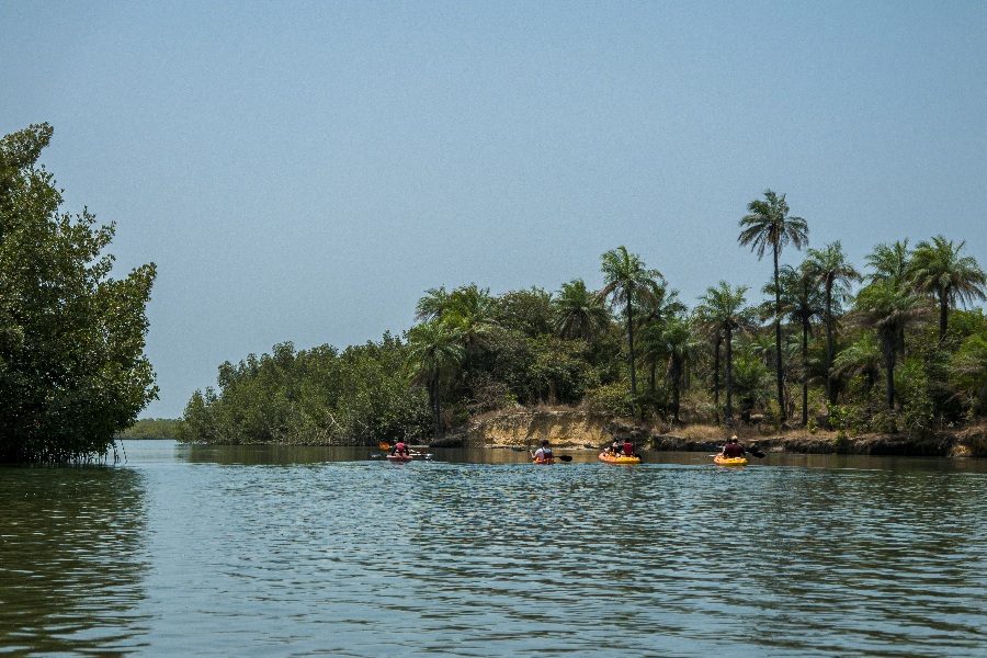 Sortie Kayak dans les bolongs - Fleuve Casamance - ©Air Cm