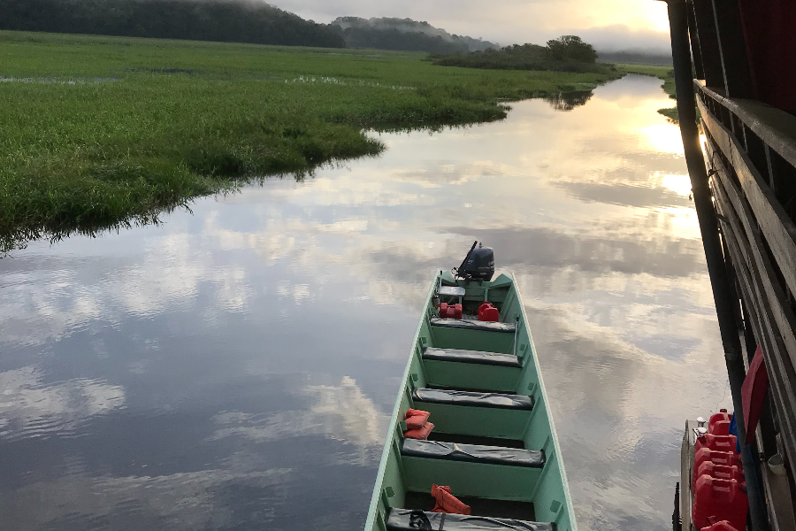 Marais de kaw