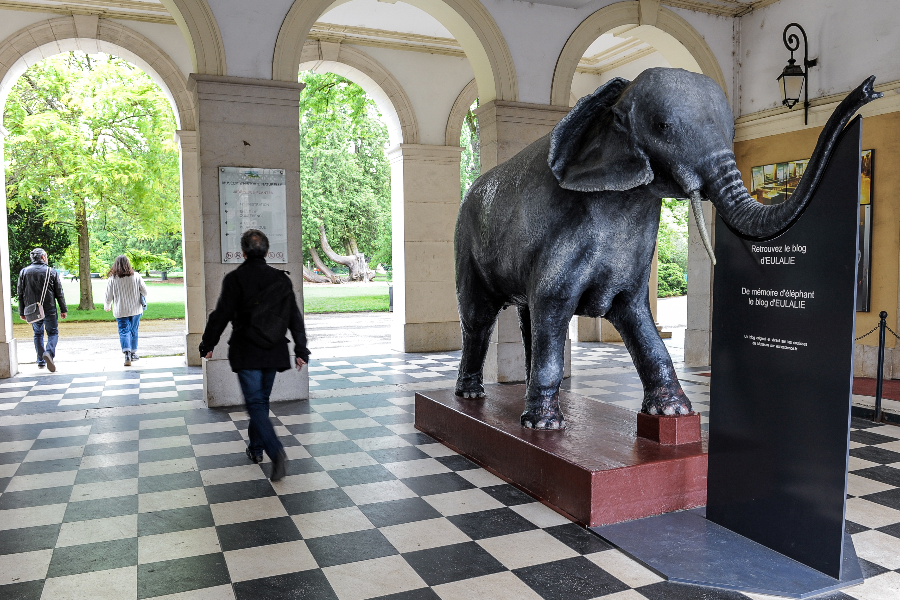 Entrée du muséum avec la statut de  l’éléphant