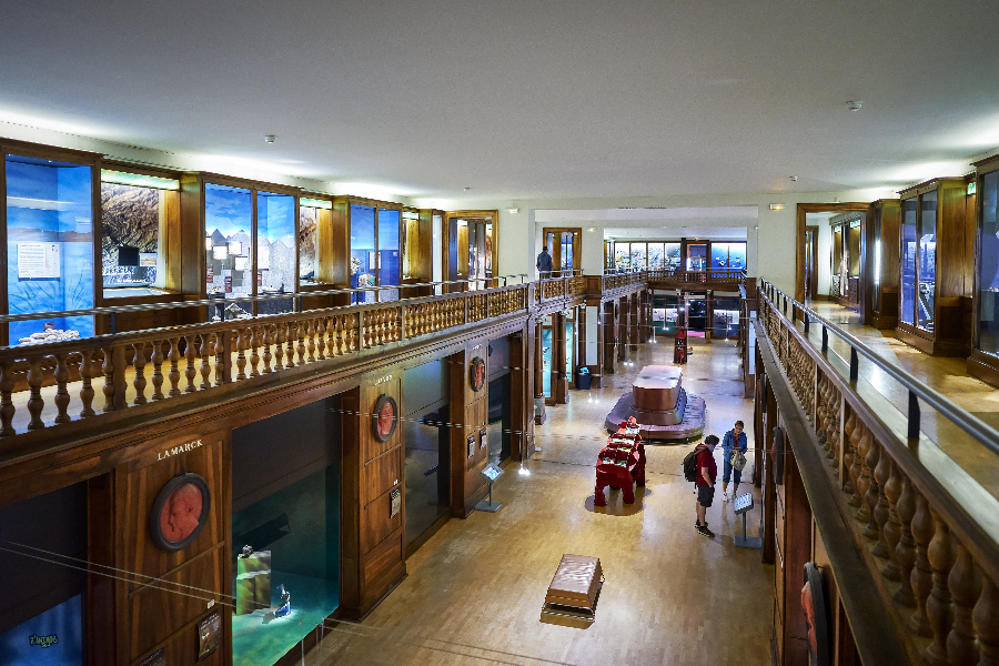 Intérieur du muséum
