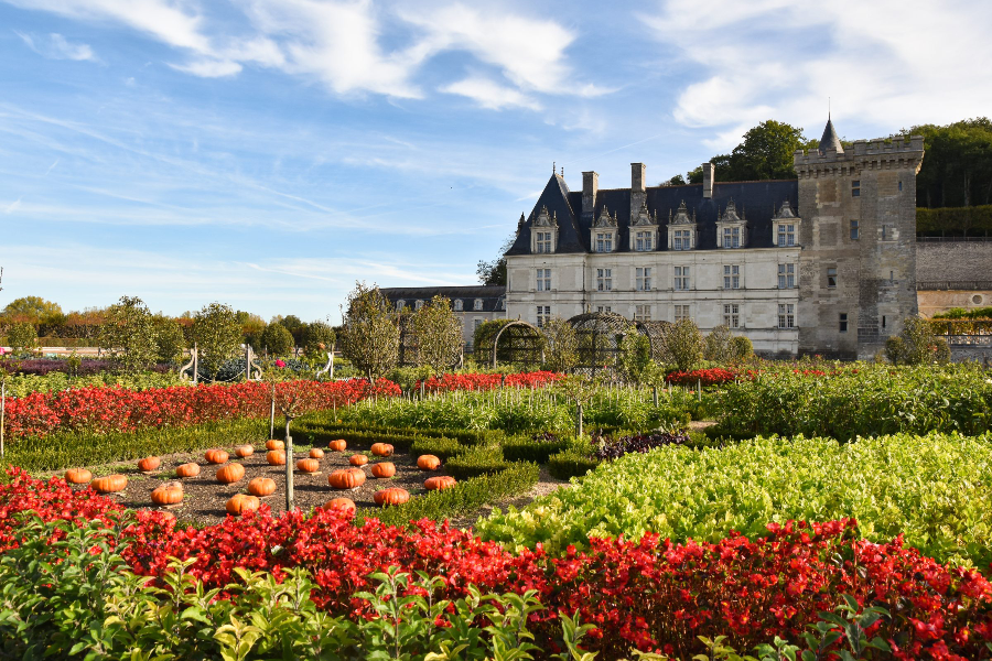 Château de Villandry - ©Château de Villandry