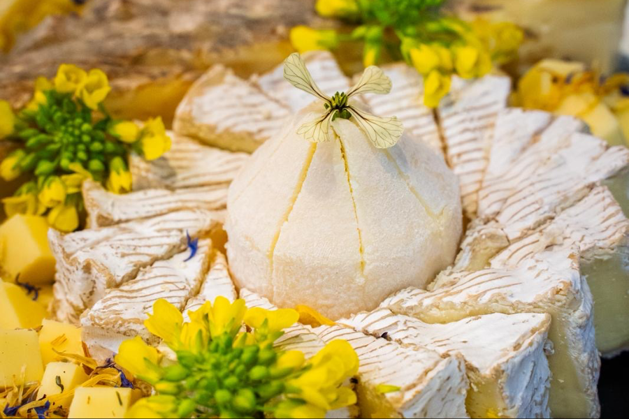 france fromages