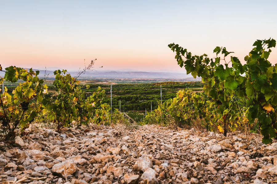 La Livinière - ©Ludo Charles