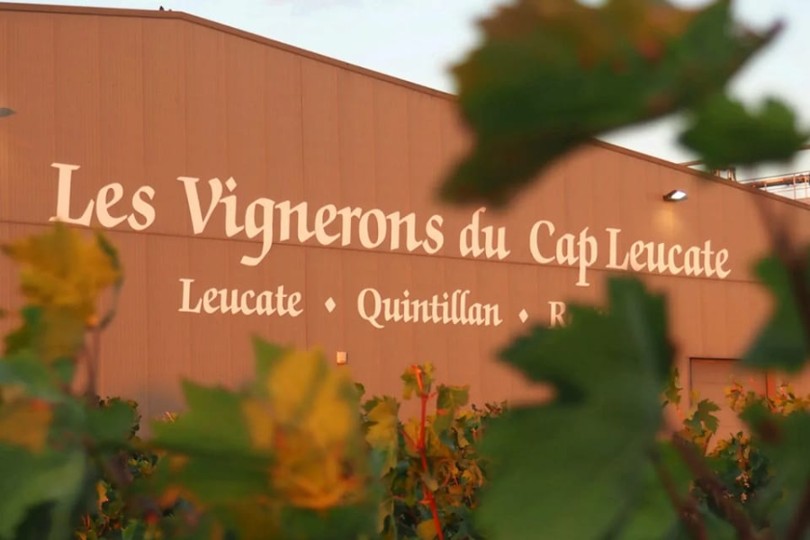VIGNOBLES CAP LEUCATE
