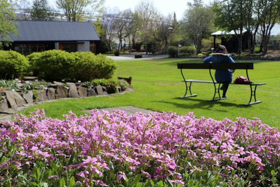 JARDIN BOTANIQUE (LYSTIGARÐURINN)