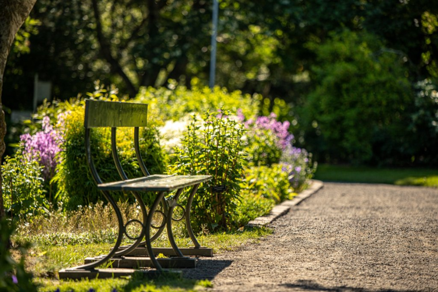 JARDIN BOTANIQUE (LYSTIGARÐURINN)