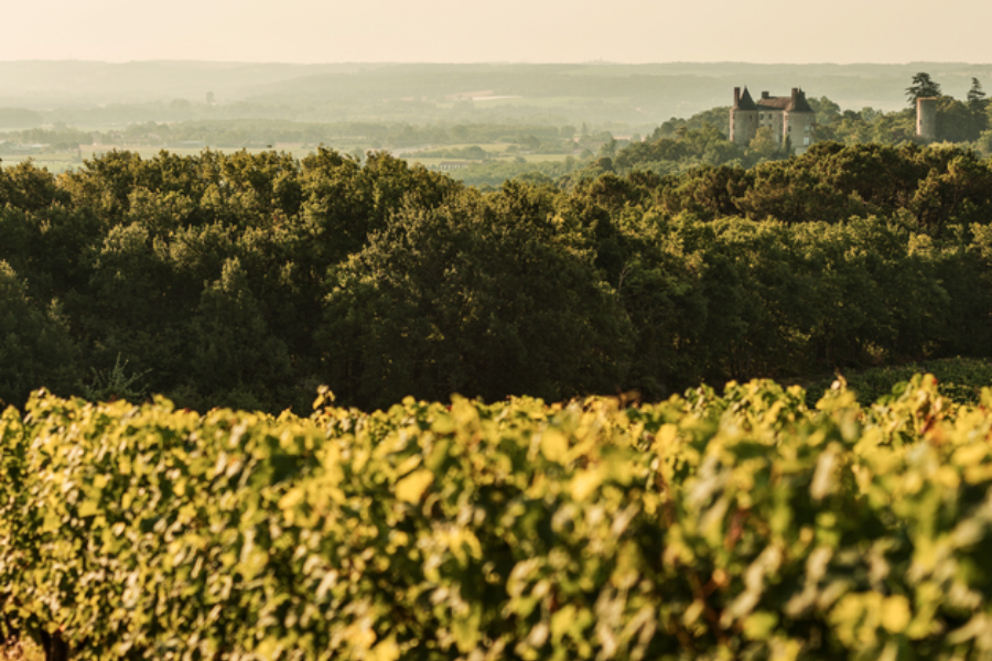 Le château de Buzet entouré de son vignoble - ©Les Vignerons de Buzet