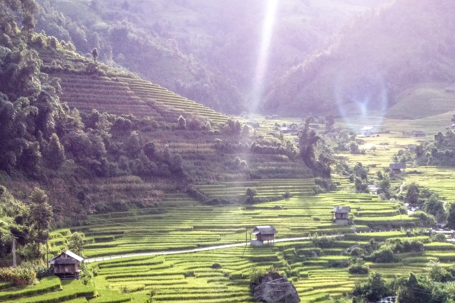 Les rizières en terrasse : réputées comme les plus belles du monde, les rizières en terrasse de Sapa offrent un panorama magnifique - ©Les rizières en terrasse