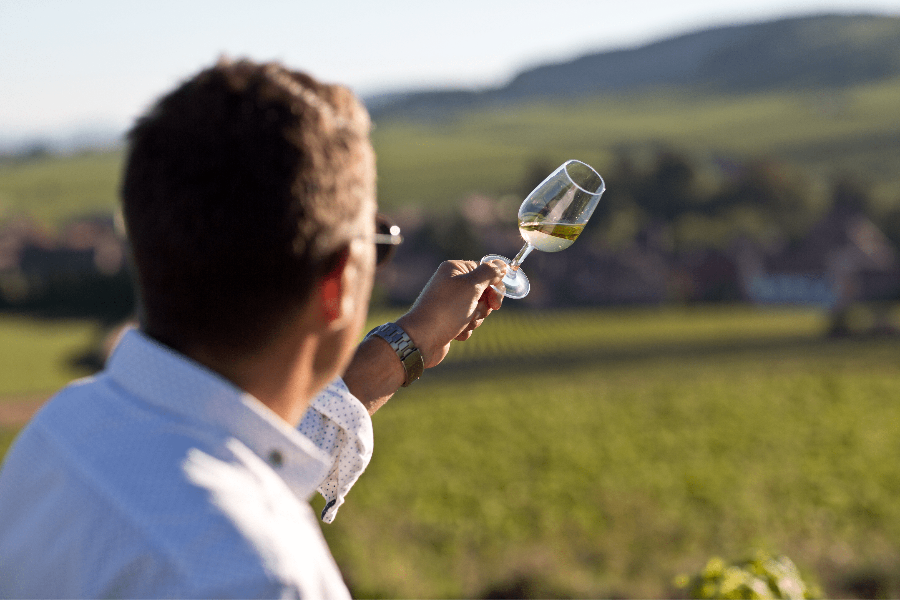 Ecole des vins de Bourgogne - ©BIVB