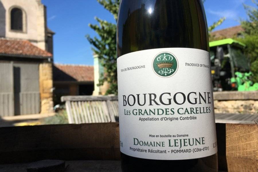 Bourgogne Chardonnay - ©DOMAINE LEJEUNE