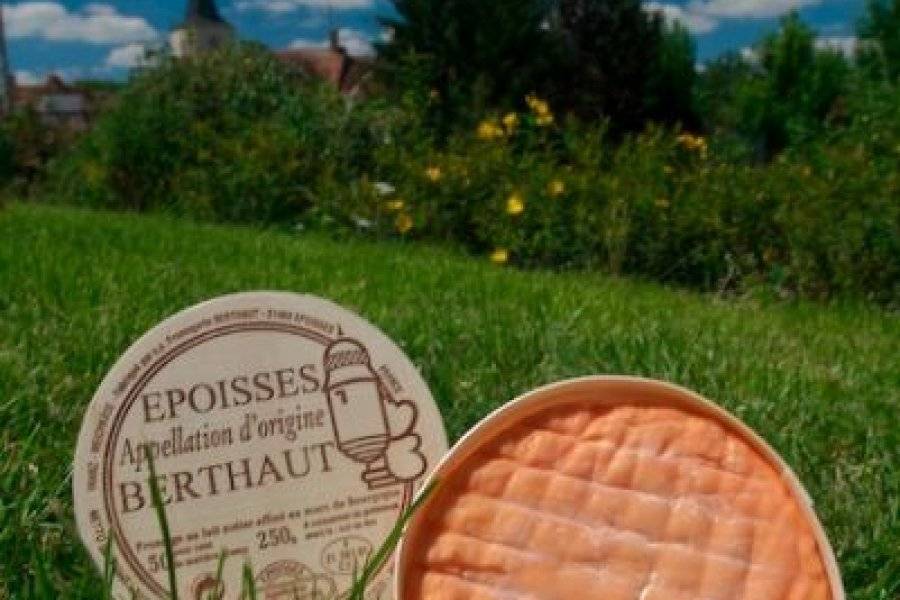FROMAGERIE BERTHAUT Fromagerie – Crèmerie Epoisses photo n° 8774 - ©FROMAGERIE BERTHAUT