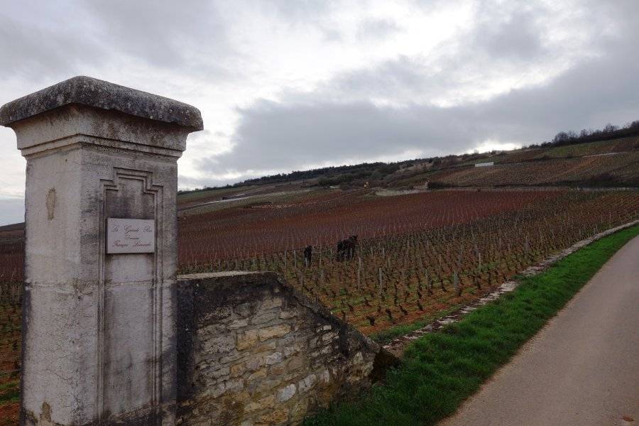 LAMARCHE - ©DOMAINE NICOLE LAMARCHE