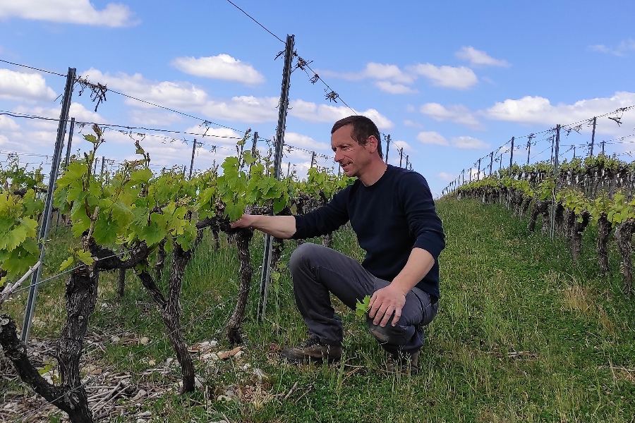 Jérôme Couture prend soin de son terroir