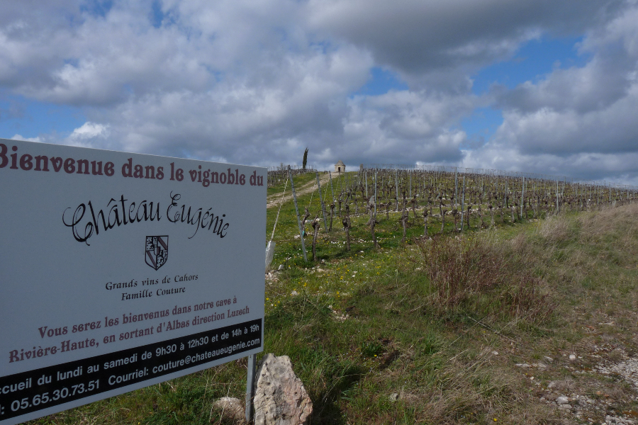 Parcelle Malbec et sa Cayotte