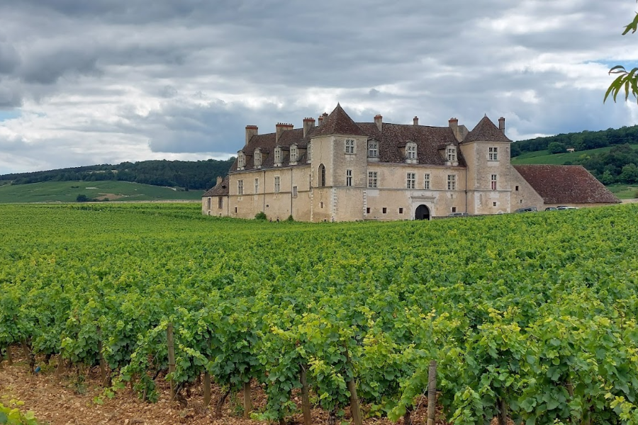  - ©LE CHÂTEAU DU CLOS DE VOUGEOT