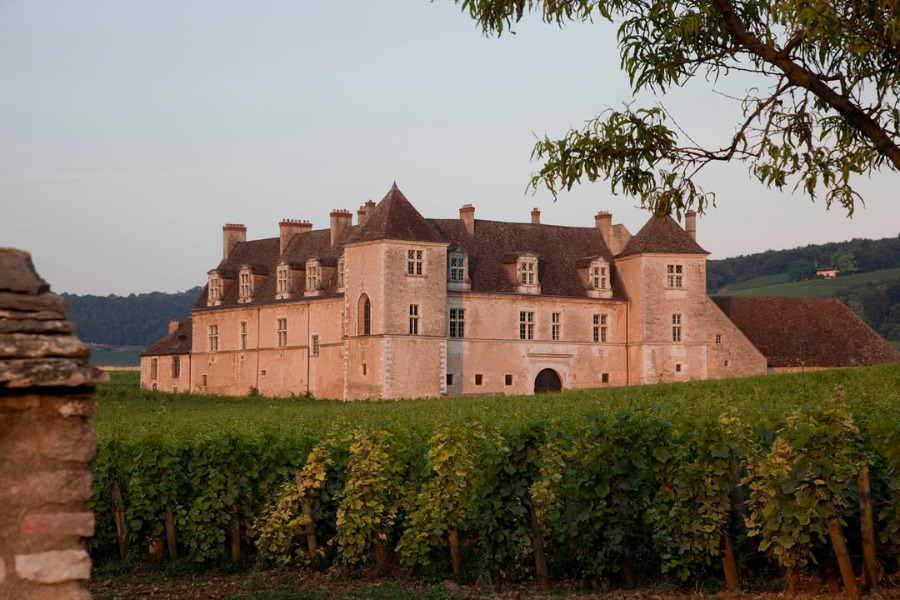  - ©LE CHÂTEAU DU CLOS DE VOUGEOT