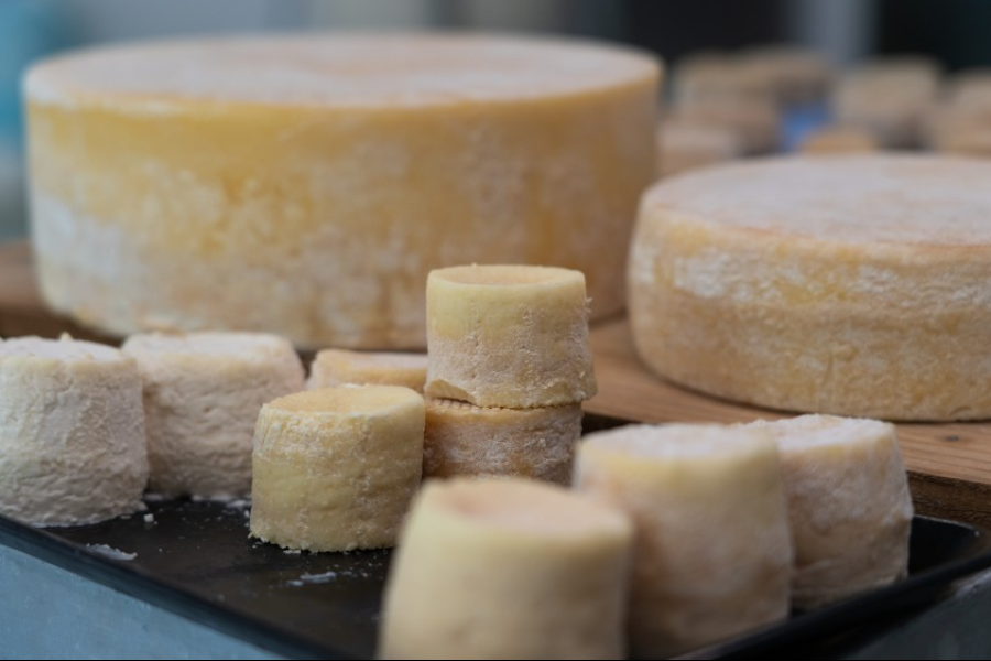 Les fromages de chèvre de la Chèvrerie des Terres Chaudes à La Boulaye. - ©Les Coflocs