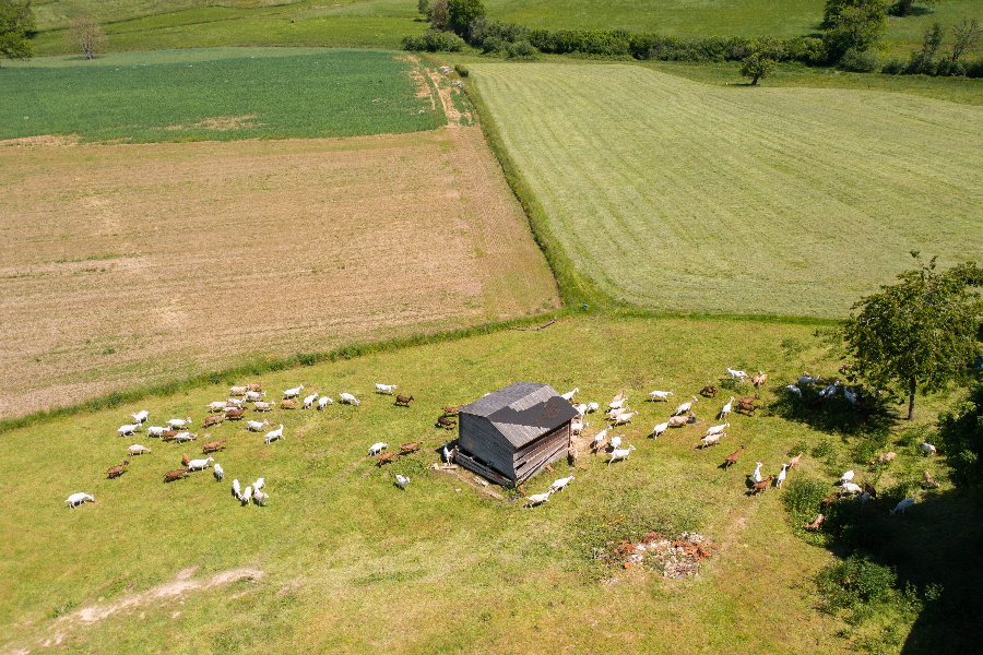 Chèvrerie des terres chaudes - spécialité locale : le fromage de chèvre - ©Les Coflocs