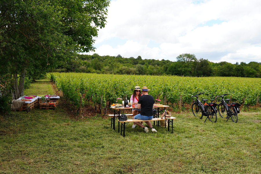 Nos pique-niques dans les vignes - ©CDT71-Frederic Fauroux