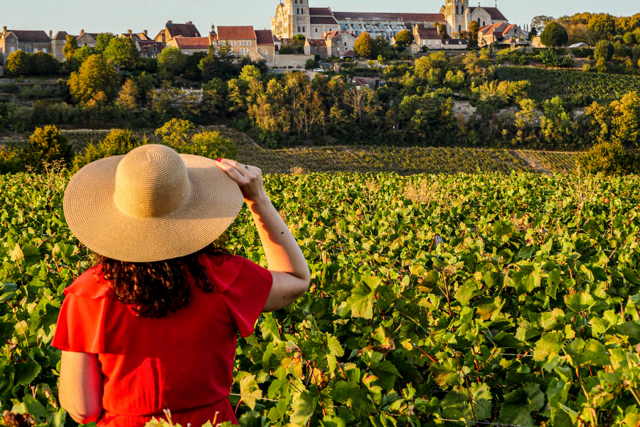 Vignes et Vézelay - ©Corentin Janvier