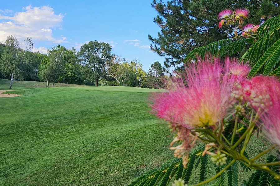 GOLF DE LAMALOU