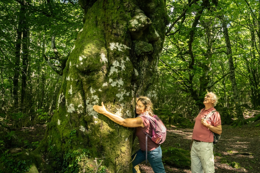  - ©OFFICE DU TOURISME LODEVOIS ET LARZAC