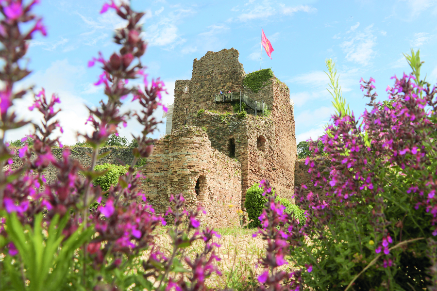  - ©CHÂTEAU DE TALMONT