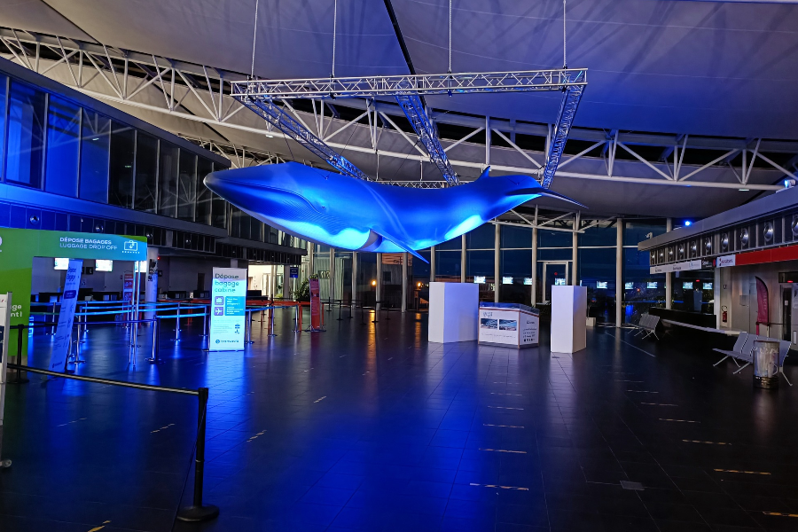 AÉROPORT BREST BRETAGNE