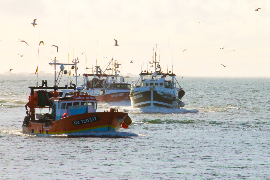  - ©CITÉ DE LA PÊCHE - HALIOTIKA