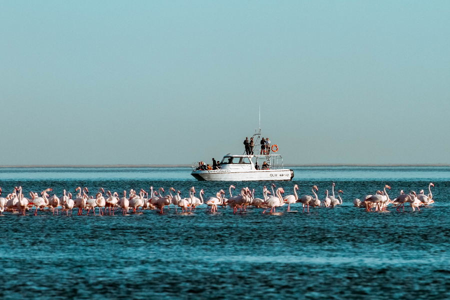  - ©MOLA MOLA SAFARIS