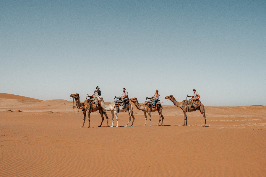 Camel rides in the oldest desert in the world - ©Desert Explorers