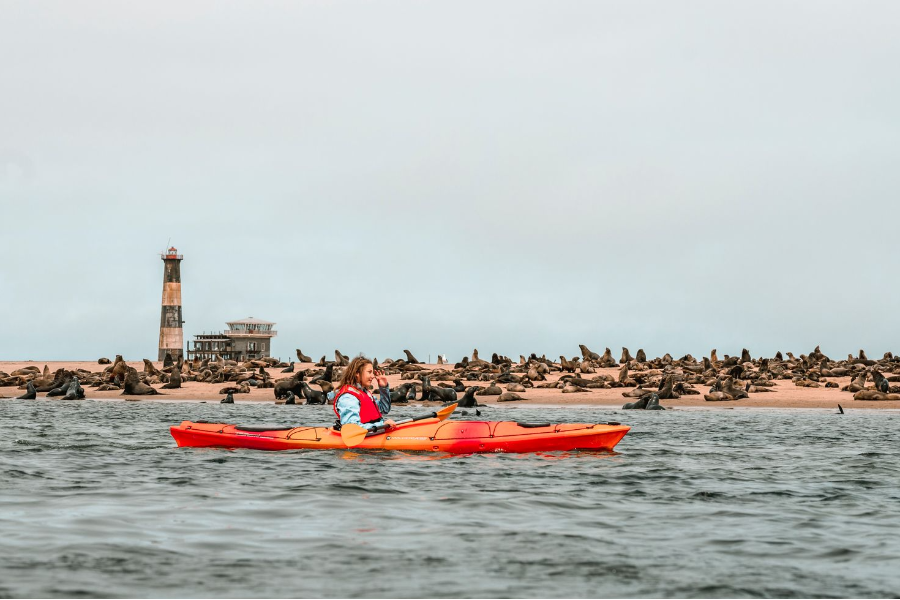 Come kayak with us through hundreds of seals along Pelican Point, Namibia - ©Laramon Tours