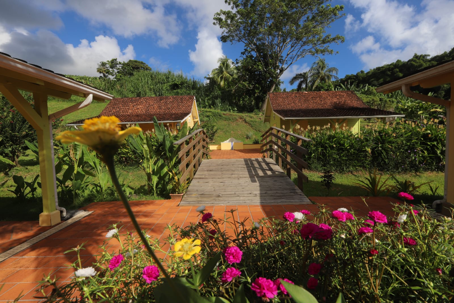 Nos cases, nos fleurs tropicales : un mélange authentique et coloré qui incarne l'âme caribéenne. - ©Musee de la Banane_2024