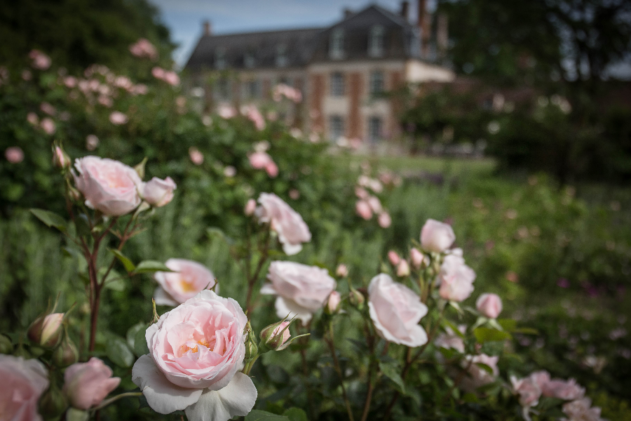 Jardin de la Javelière