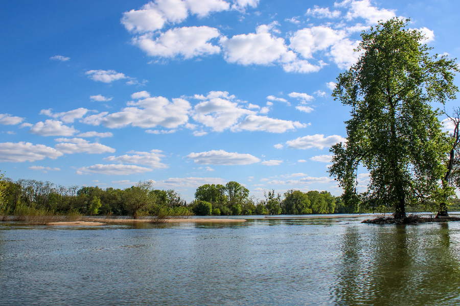 La Loire dans le Loiret