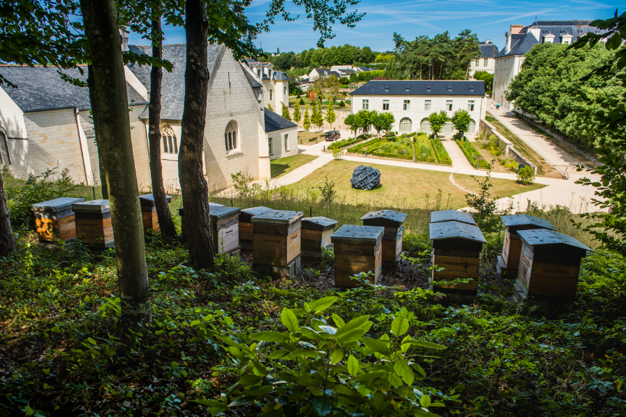 Ruches de l'Abbaye royale de Fontevraud