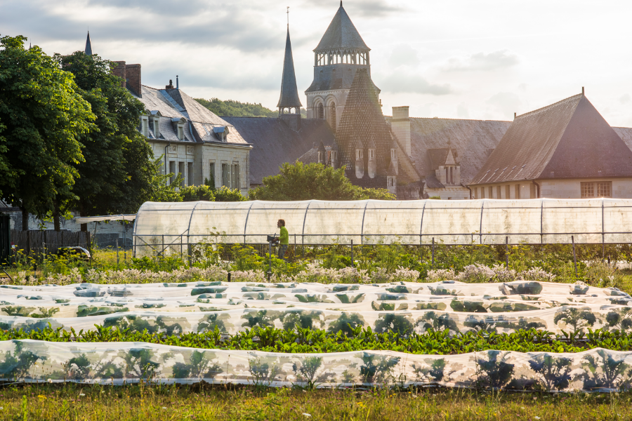 Potager du Chef de Fontevraud L'Ermitage