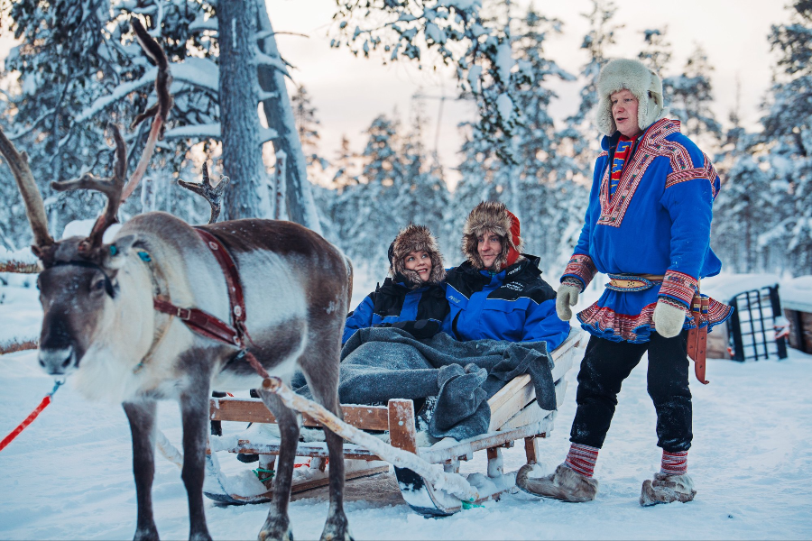 Reindeer Safari