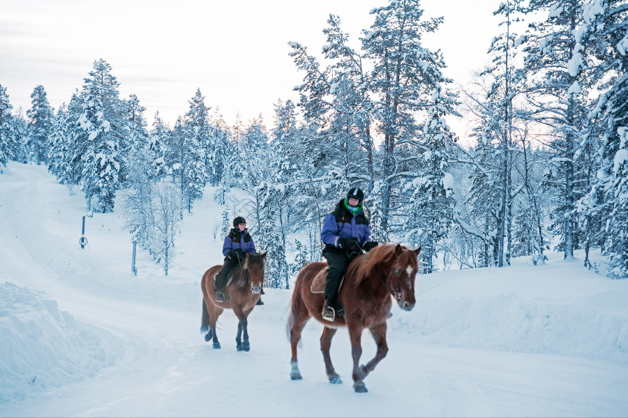 Horseback Riding