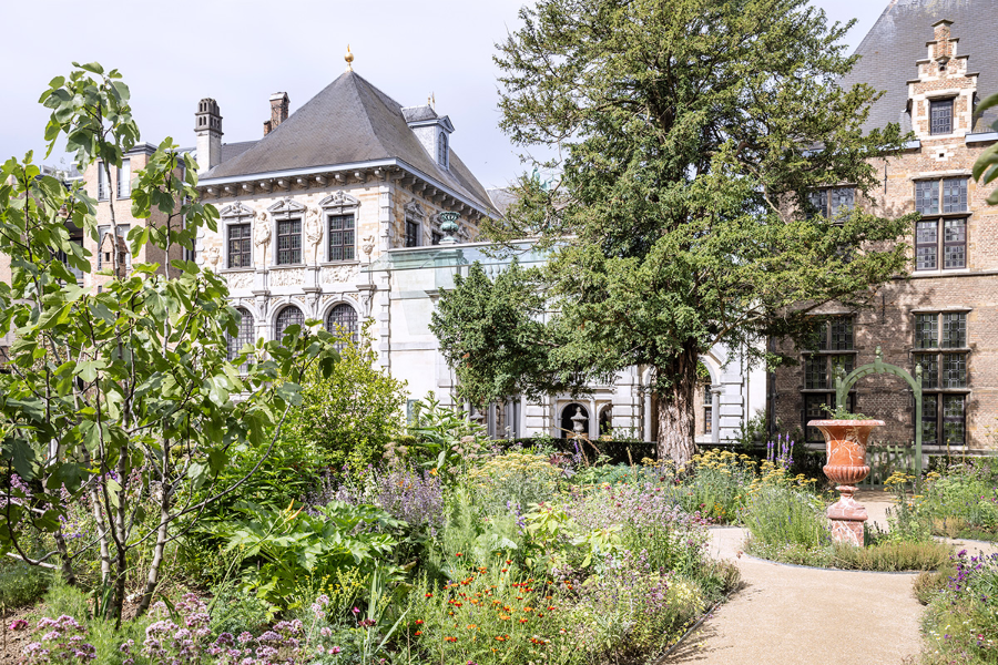 Le nouveau jardin de le Rubenshuis, vue sur la résidence et l'atelier, été 2024 - ©Ans Brys