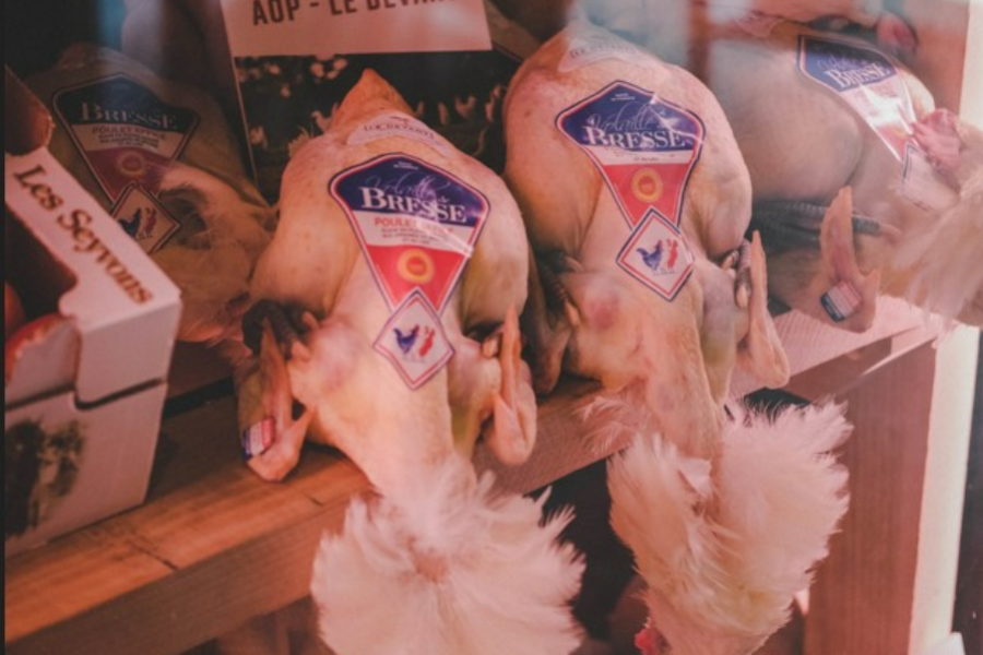 Brasserie Pakhuis Gand fameux poulet de bresse - ©Brasserie Pakhuis Gand