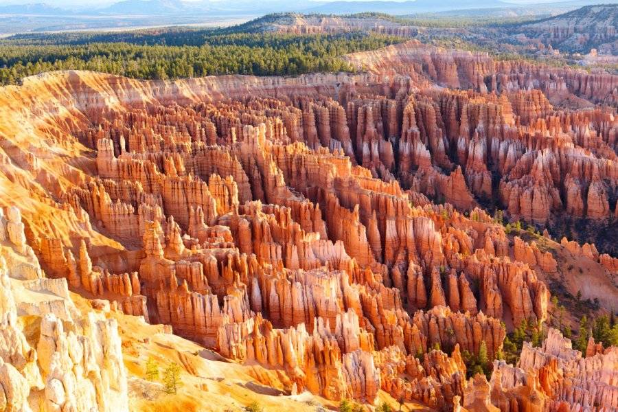 Oleksandr Dibrova... - ©BRYCE CANYON NATIONAL PARK