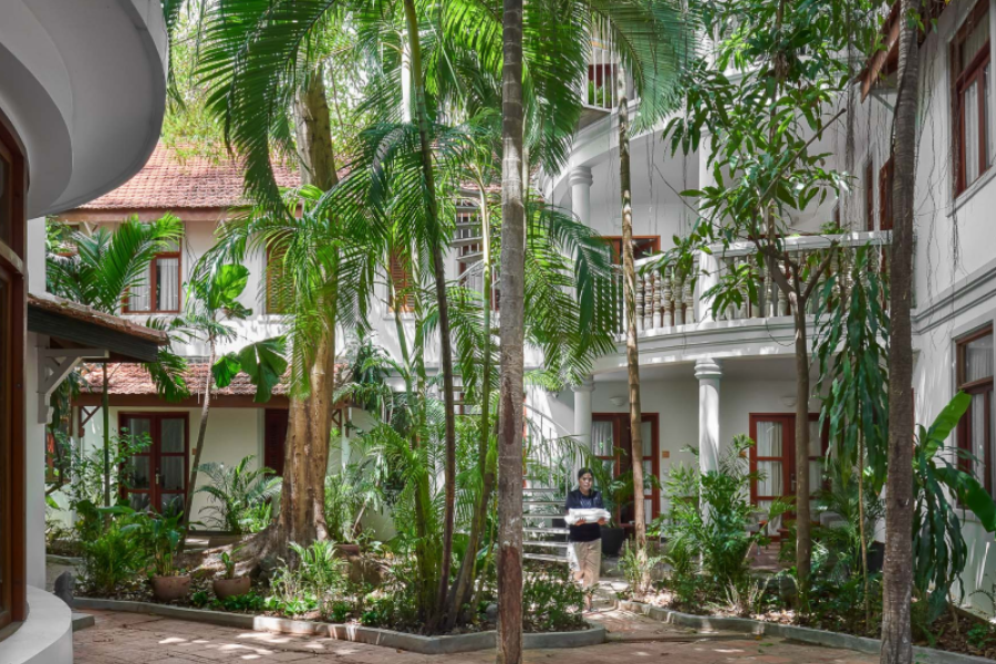 Jungle addition