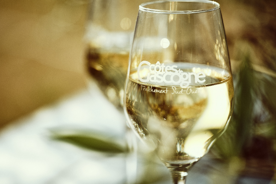 Côtes de Gascogne - dégustation blanc sec - ©Julien Domec