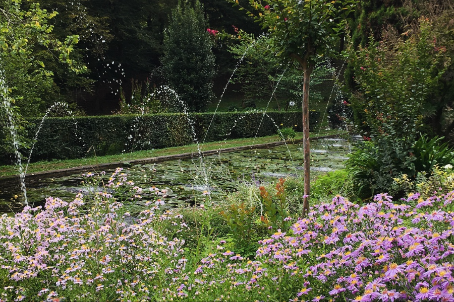 LES JARDINS DE SARDY